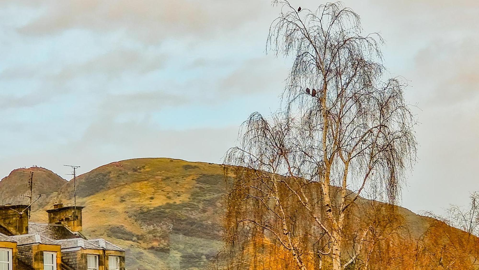 Mayfield Suites Edinburg Exteriör bild